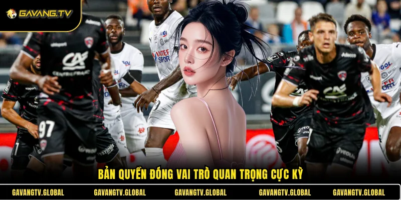 Bản quyền đóng vai trò quan trọng cực kỳ