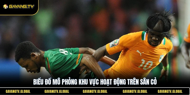 Biểu đồ mô phỏng khu vực hoạt động trên sân cỏ