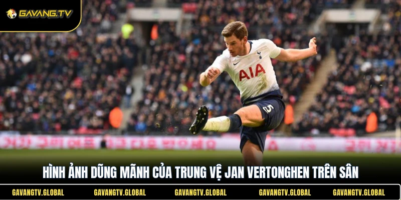Hình ảnh dũng mãnh của trung vệ Jan Vertonghen trên sân