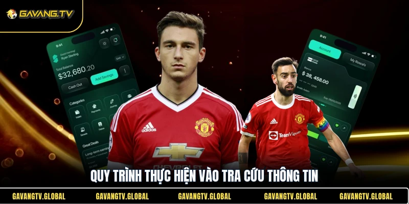 Quy trình thực hiện vào tra cứu thông tin