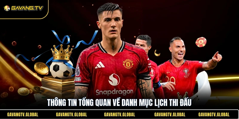 Thông tin tổng quan về danh mục lịch thi đấu